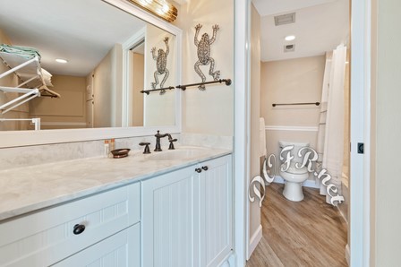 Master Vanity and Toilet Area
